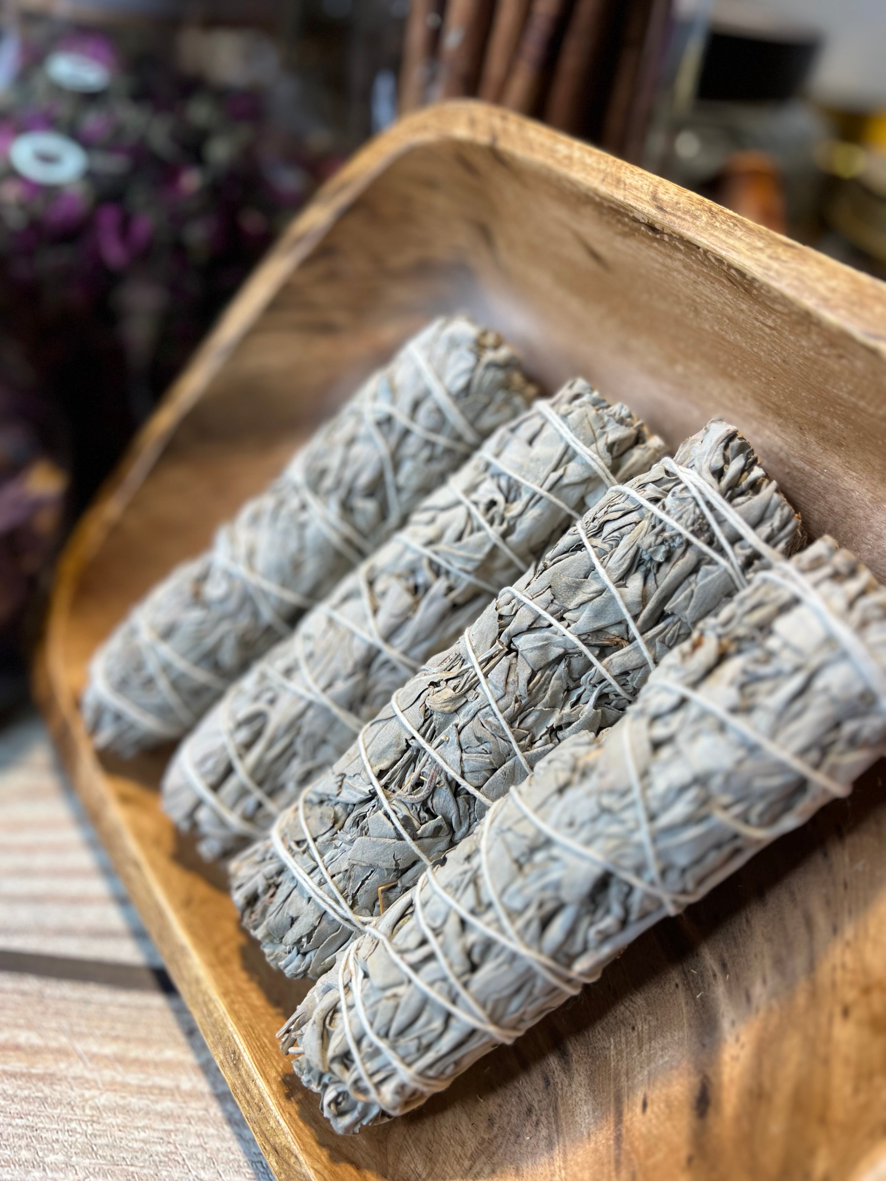 California White Sage 6in